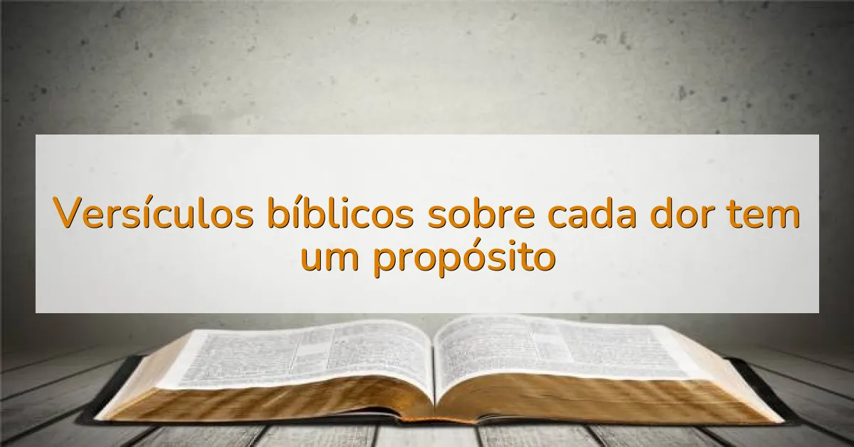 Versículos bíblicos sobre cada dor tem um propósito