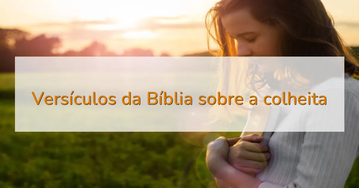 Versículos da Bíblia sobre a colheita