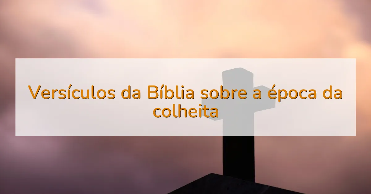 Versículos da Bíblia sobre a época da colheita