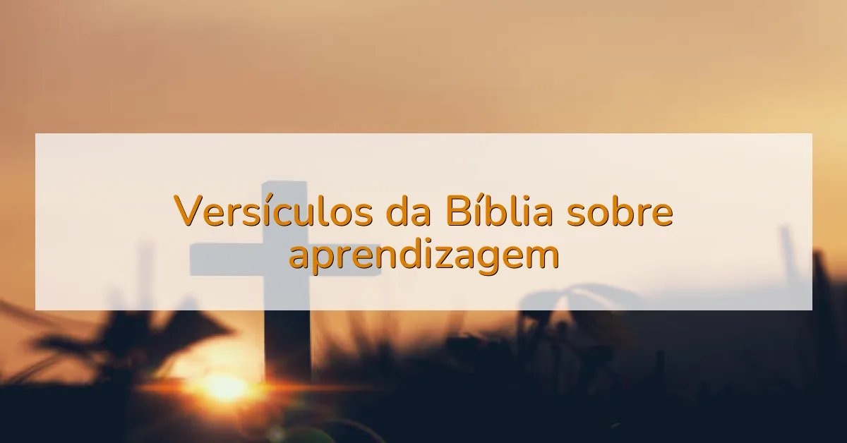 Versículos da Bíblia sobre aprendizagem
