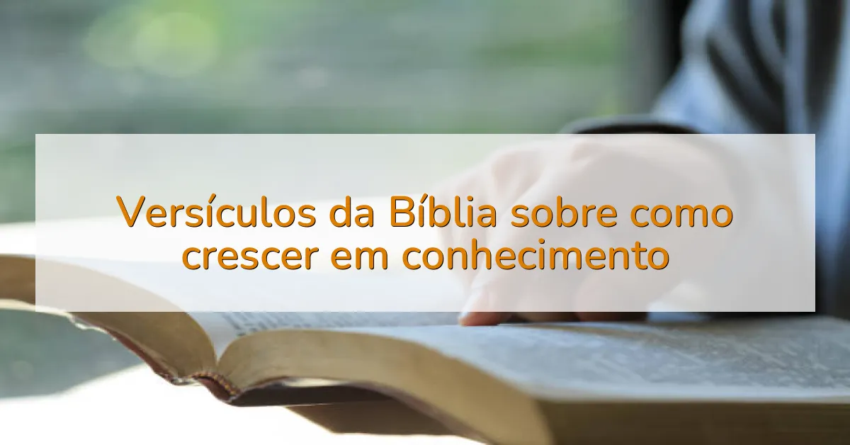 Versículos da Bíblia sobre como crescer em conhecimento