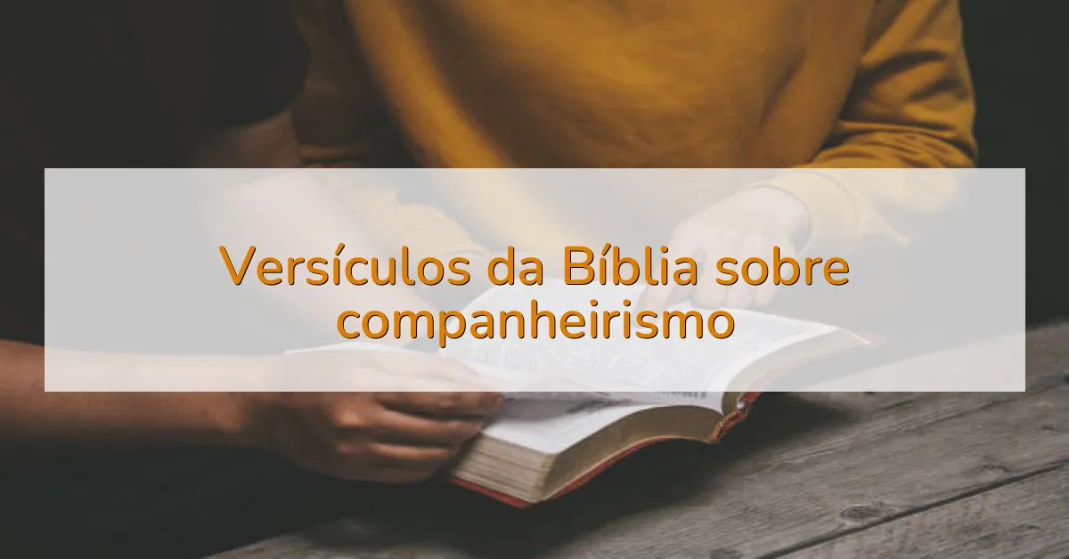 Versículos da Bíblia sobre companheirismo