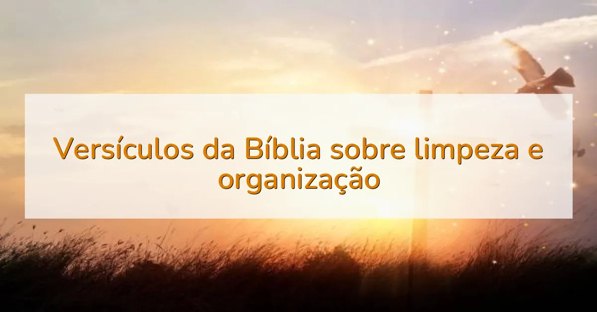 Versículos da Bíblia sobre limpeza e organização