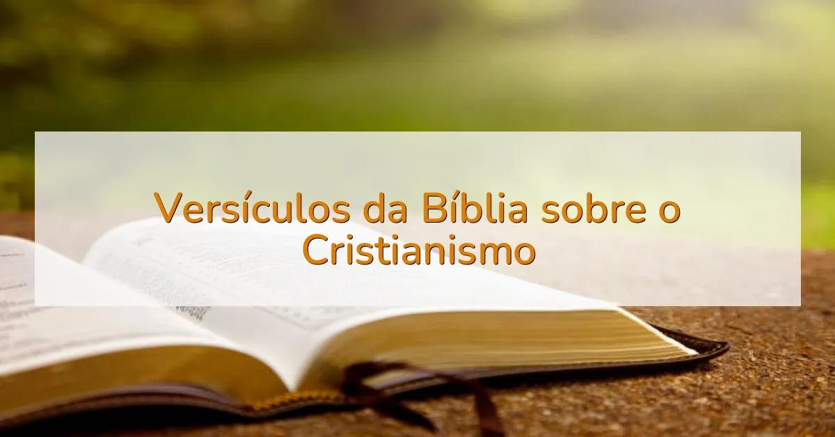 Versículos da Bíblia sobre o Cristianismo