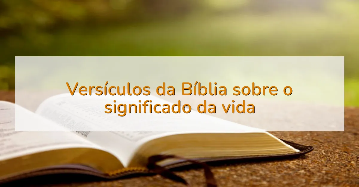 Versículos da Bíblia sobre o significado da vida