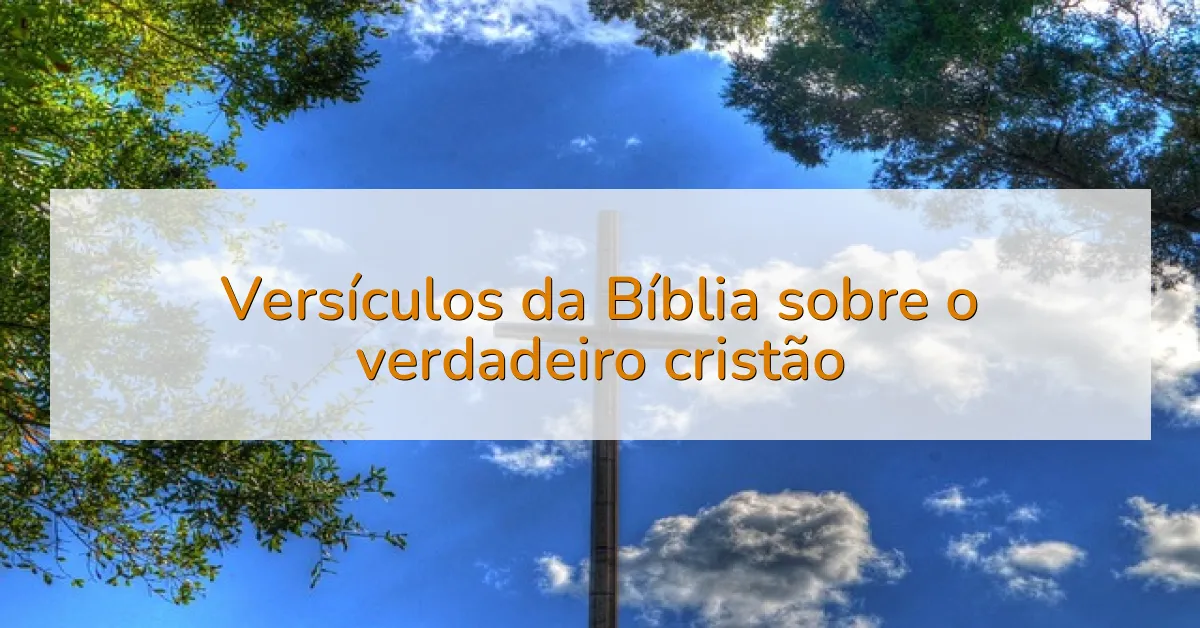Versículos da Bíblia sobre o verdadeiro cristão