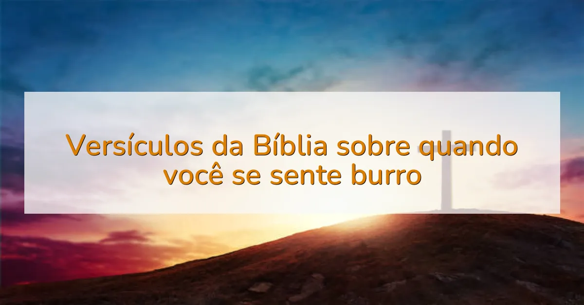 Versículos da Bíblia sobre quando você se sente burro