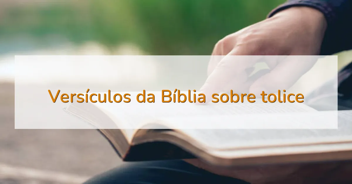 Versículos da Bíblia sobre tolice